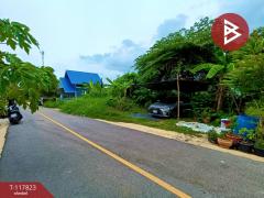 ขายที่ดิน เนื้อที่ 55.1 ตร.วา บ้านปรก สมุทรสงคราม-202507311155411753937741697.jpg