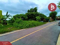 ขายที่ดิน เนื้อที่ 55.1 ตร.วา บ้านปรก สมุทรสงคราม-202507311155431753937743355.jpg