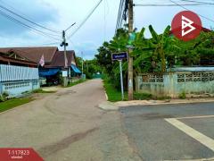 ขายที่ดิน เนื้อที่ 55.1 ตร.วา บ้านปรก สมุทรสงคราม-202507311155461753937746166.jpg