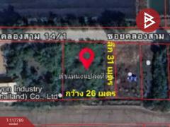 ขายที่ดินสวย เนื้อที่ 203 ตารางวา คลองสาม ปทุมธานี-202507311311131753942273743.jpg