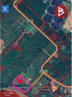 ขายที่ดิน เนื้อที่ 15 ไร่ บางสะพานน้อย ประจวบคีรีขันธ์-202507311324561753943096177.jpg