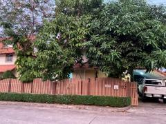 หมู่บ้านเก้าพอเพียง ถนนรังสิต-นครนายก คลอง 7 ธัญบุรี ปทุมธานี ขายบ้านเดี่ยว 56.3 ตารางวา 3 ห้องนอน 2 ห้องน้ำ จอดรถได้หลายคัน ใกล้โลตัส คลอง 7