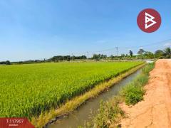ขายที่ดิน เนื้อที่ 13 ไร่ 9 ตร.วา ไทรน้อย นนทบุรี-202507311443571753947837038.jpg