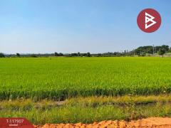 ขายที่ดิน เนื้อที่ 13 ไร่ 9 ตร.วา ไทรน้อย นนทบุรี-202507311443571753947837573.jpg