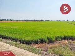 ขายที่ดิน เนื้อที่ 13 ไร่ 9 ตร.วา ไทรน้อย นนทบุรี-202507311443581753947838651.jpg