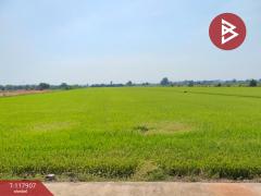 ขายที่ดิน เนื้อที่ 13 ไร่ 9 ตร.วา ไทรน้อย นนทบุรี-202507311443591753947839714.jpg