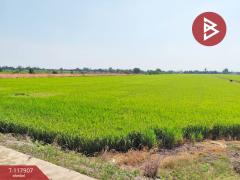 ขายที่ดิน เนื้อที่ 13 ไร่ 9 ตร.วา ไทรน้อย นนทบุรี-202507311444001753947840851.jpg