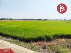 ขายที่ดิน เนื้อที่ 13 ไร่ 9 ตร.วา ไทรน้อย นนทบุรี-202507311444011753947841379.jpg
