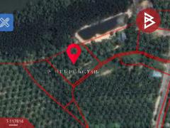 ขายที่ดิน เนื้อที่ 1 ไร่ 3 งาน 56.5 ตร.วา อ่าวลึก กระบี่-202507311624291753953869647.jpg
