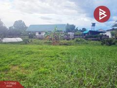 ขายที่ดิน เนื้อที่ 2 งาน 64 ตร.วา สันทราย เชียงใหม่-202507311633091753954389786.jpg