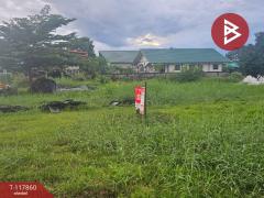 ขายที่ดิน เนื้อที่ 2 งาน 64 ตร.วา สันทราย เชียงใหม่-202507311633141753954394196.jpg