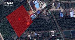 ขายที่ดิน สวนมะพร้าว 5 ไร่ 2 งาน 16 ตรว. พร้อมบ้าน 2 หลัง-202508011118461754021926540.jpg