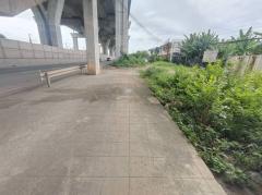 ต้องการขาย ที่ดินเปล่า ราคาเกือบเท่าประเมิน ขายถูกมาก น่าลงทุน กทม.สวย-202508011303471754028227841.jpg