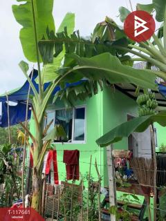 ขายบ้านเดี่ยวพร้อมที่ดิน เนื้อที่ 50 ตร.วา ลำลูกกา ปทุมธานี-202508011421081754032868732.jpg