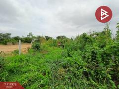 ขายที่ดิน-เนื้อที่-50-ตร.วา-วัดไทร-นคร