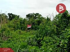 ขายที่ดิน เนื้อที่ 50 ตร.วา วัดไทร นครสวรรค์-202508011541471754037707863.jpg