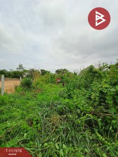 ขายที่ดิน เนื้อที่ 50 ตร.วา วัดไทร นครสวรรค์-202508011541481754037708412.jpg