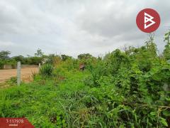ขายที่ดิน เนื้อที่ 50 ตร.วา วัดไทร นครสวรรค์-202508011541491754037709414.jpg