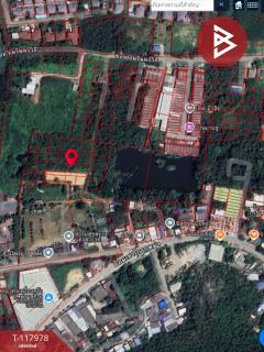 ขายที่ดิน เนื้อที่ 50 ตร.วา วัดไทร นครสวรรค์-202508011541521754037712179.jpg