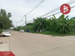 ขายที่ดิน เนื้อที่ 1 งาน 61.4 ตร.วา อุทัยใหม่ อุทัยธานี-202508011606041754039164584.jpg