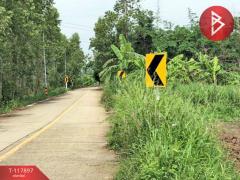 ขายที่ดิน เนื้อที่ 46 ไร่ 3 งาน 88 ตร.วา ศรีมหาโพธิ ปราจีนบุรี-202508011621381754040098550.jpg