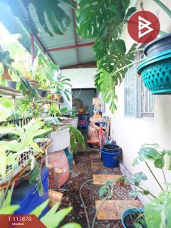 ขายทาวน์เฮ้าส์ หมู่บ้านพฤกษา59/1 สุขุมวิท-บางปู สมุทรปราการ-202508011647381754041658863.jpg