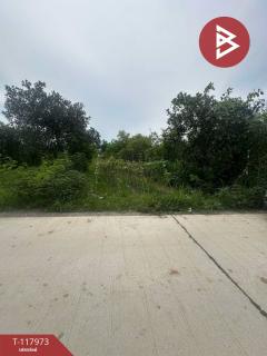 ขายที่ดิน เนื้อที่ 80 ตร.วา จอมบึง ราชบุรี-202508012136401754059000701.jpg