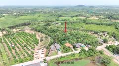 ขายที่ดินสวนยาง เนื้อที่ 8 ไร่ 1 งาน ต.พังราด ติดถนนสาธารณประโยชน์-202508021234461754112886120.jpg