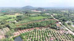 ขายที่ดินสวนยาง เนื้อที่ 8 ไร่ 1 งาน ต.พังราด ติดถนนสาธารณประโยชน์-202508021234461754112886829.jpg