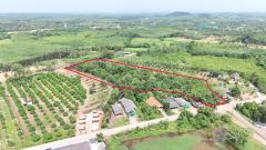 ขายที่ดินสวนยาง เนื้อที่ 8 ไร่ 1 งาน ต.พังราด ติดถนนสาธารณประโยชน์-202508021234471754112887796.jpg
