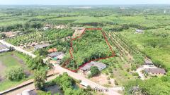 ขายที่ดินสวนยาง เนื้อที่ 8 ไร่ 1 งาน ต.พังราด ติดถนนสาธารณประโยชน์-202508021234481754112888750.jpg