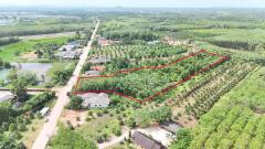 ขายที่ดินสวนยาง เนื้อที่ 8 ไร่ 1 งาน ต.พังราด ติดถนนสาธารณประโยชน์-202508021234491754112889840.jpg