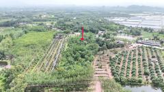 ขายที่ดินสวนยาง เนื้อที่ 8 ไร่ 1 งาน ต.พังราด ติดถนนสาธารณประโยชน์-202508021234511754112891417.jpg