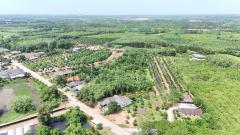 ขายที่ดินสวนยาง เนื้อที่ 8 ไร่ 1 งาน ต.พังราด ติดถนนสาธารณประโยชน์-202508021234531754112893005.jpg