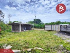 ขายบ้านเดี่ยว 1 งาน 37 ตร.วา พุทธมณฑล นครปฐม-202508021359501754117990816.jpg