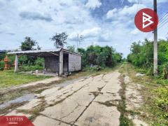 ขายบ้านเดี่ยว 1 งาน 37 ตร.วา พุทธมณฑล นครปฐม-202508021359511754117991357.jpg