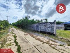 ขายบ้านเดี่ยว 1 งาน 37 ตร.วา พุทธมณฑล นครปฐม-202508021359511754117991914.jpg