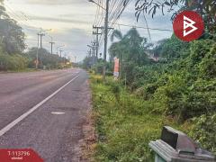 ขายที่ดิน เนื้อที่ 2 งาน 4.5 ตร.วา แหลมสิงห์ จันทบุรี-202508021437341754120254012.jpg