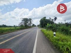 ขายที่ดิน เนื้อที่ 23 ไร่ 2 งาน 87 ตร.วา เนินทราย ตราด-202508021449091754120949668.jpg
