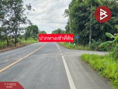 ขายที่ดิน เนื้อที่ 23 ไร่ 2 งาน 87 ตร.วา เนินทราย ตราด-202508021449101754120950959.jpg