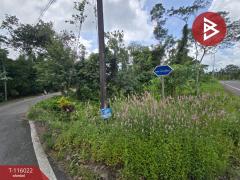 ขายที่ดิน เนื้อที่ 23 ไร่ 2 งาน 87 ตร.วา เนินทราย ตราด-202508021449121754120952040.jpg