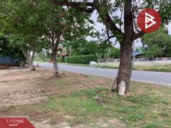 ขายที่ดิน เนื้อที่ 5 ไร่ 45 ตร.วา แก่งคอย สระบุรี-202508021615131754126113947.jpg