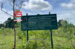 ที่ดินเปล่า หมู่บ้านโคกปราสาท เนื้อที่ 16-0-37 ไร่ (สามแยกบ้านยายพิมพ์, ใกล้โรงเรียนดอนหวาย) ตำบลหนองยายพิมพ์ อำเภอนางรอง บุรีรัมย์-202508021620121754126412880.jpg