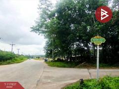 ขายที่ดิน เนื้อที่ 8 ไร่ 2 งาน 38 ตร.วา บ้านค่าย ระยอง-202508021623581754126638758.jpg