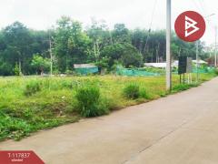 ขายที่ดิน เนื้อที่ 8 ไร่ 2 งาน 38 ตร.วา บ้านค่าย ระยอง-202508021624001754126640381.jpg
