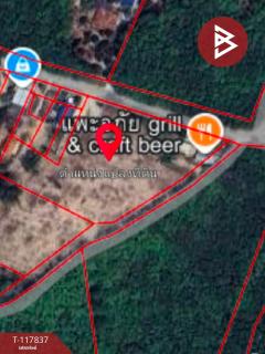 ขายที่ดิน เนื้อที่ 8 ไร่ 2 งาน 38 ตร.วา บ้านค่าย ระยอง-202508021624031754126643076.jpg