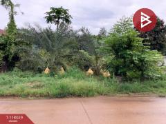 ขายที่ดิน เนื้อที่ 1 งาน 37 ตร.วา ท่าเสา อุตรดิตถ์