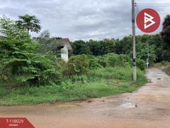 ขายที่ดิน เนื้อที่ 1 งาน 37 ตร.วา ท่าเสา อุตรดิตถ์-202508021741281754131288622.jpg