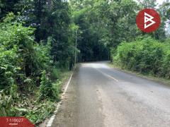 ขายที่ดิน เนื้อที่ 1 ไร่ 92 ตร.วา ท่าเสา อุตรดิตถ์-202508021745511754131551303.jpg