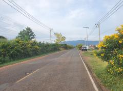 ขาย ที่ดิน เขาใหญ่ ต.​โป่งตาลอง​ อ.ปากช่อง 51 ไร่ ​ที่เป็นเนิน เห็นวิว360องศา​-202508031141501754196110899.jpg